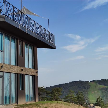 Vila Onyx Divčibare Екстериор снимка
